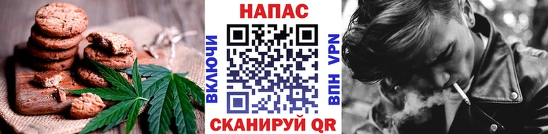 купить закладку  Багратионовск  Canna-Cookies марихуана 