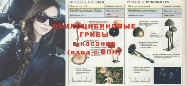 скорость Михайлов