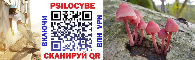 Псилоцибиновые грибы Psilocybe  Багратионовск 